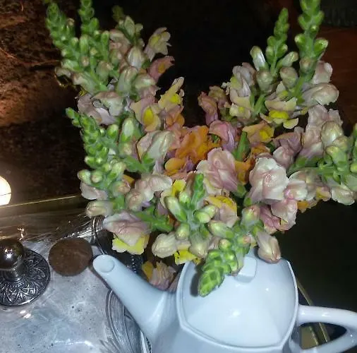 Grandmotherhouse 2-7 Pax *