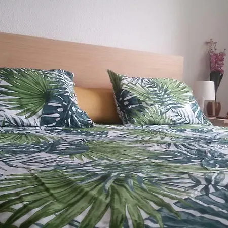 Grandmotherhouse 2-7 Pax * Porto