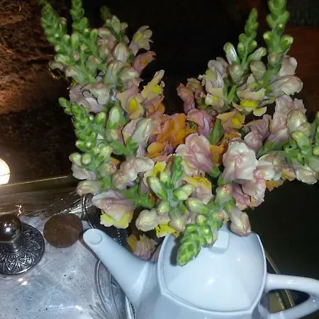 Grandmotherhouse 2-7 Pax *