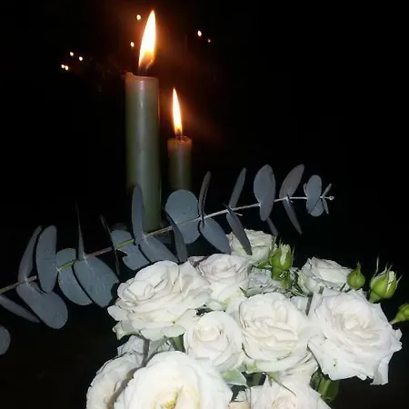 Apartamento Grandmotherhouse 2-7 Pax Porto